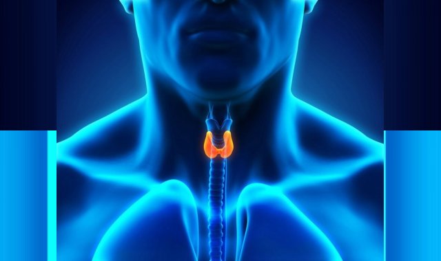 Buy T3 Online To Control Different Thyroid Functions