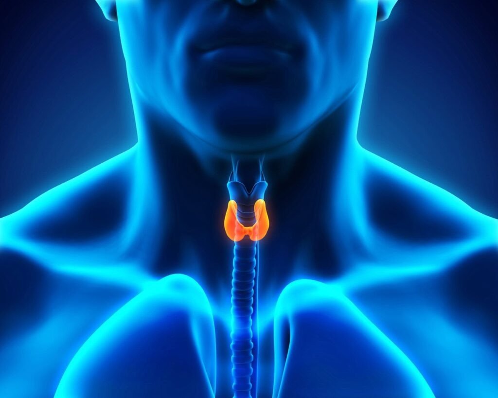 Buy T3 Online To Control Different Thyroid Functions